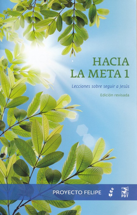 Hacia la Meta #1 (Reaching Toward the Goal #1)
