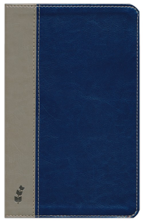 ERV Duotone Bible, Blue/Grey