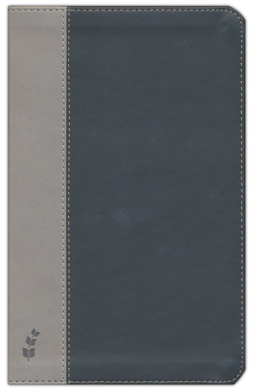 ERV Duotone Bible, Black/Grey