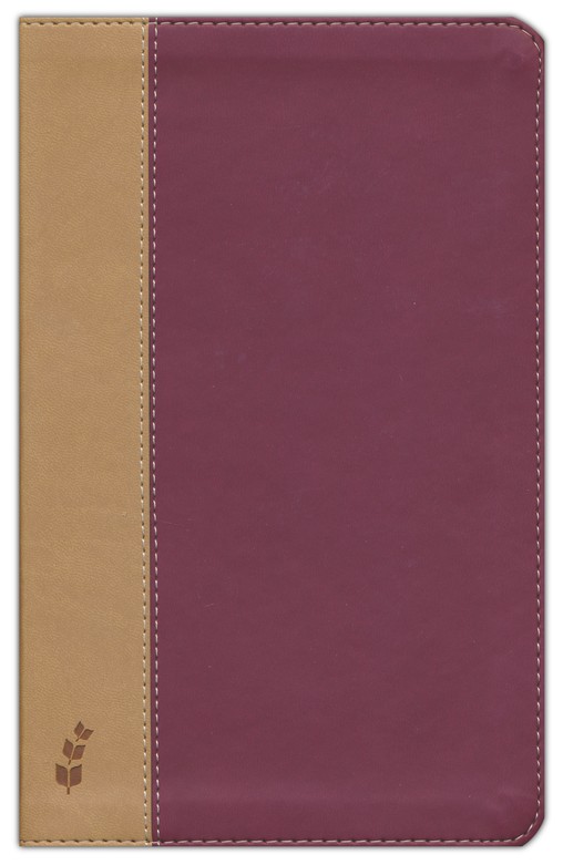 ERV Duotone Bible, Burgundy/Tan